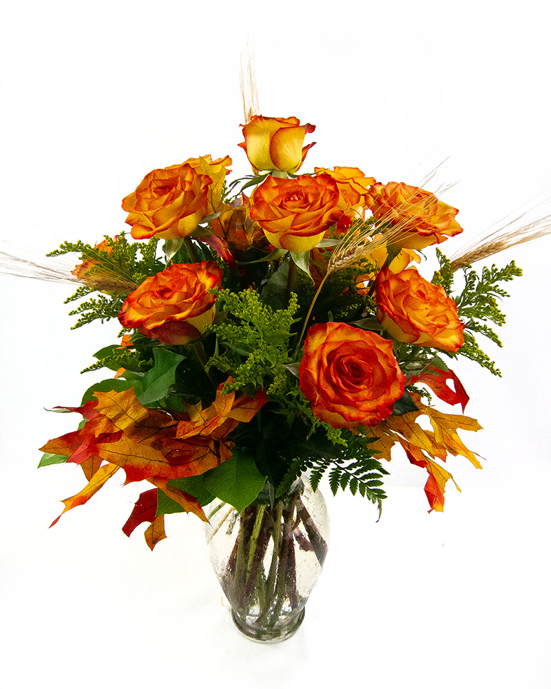 Autumn Roses